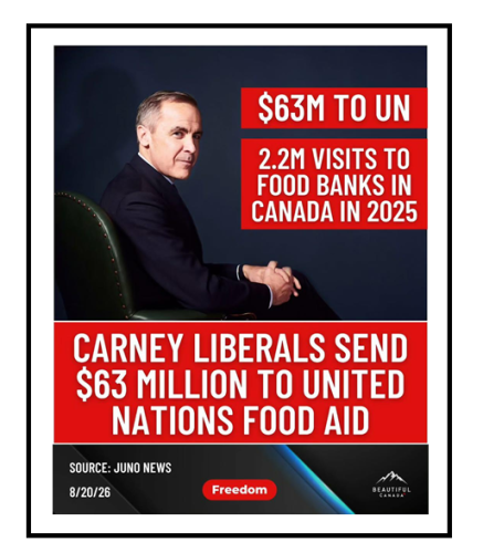 liberals send to UN