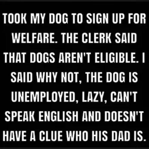 Welfare