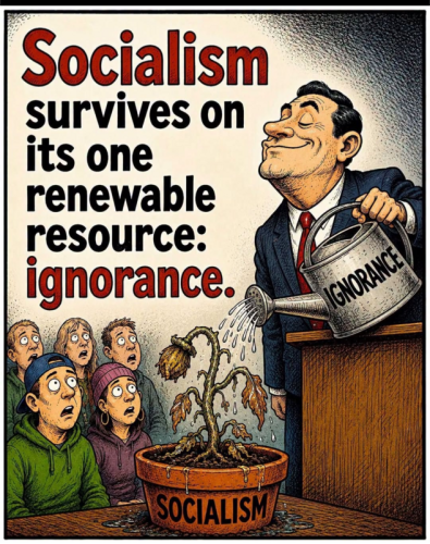 socialism ignorance