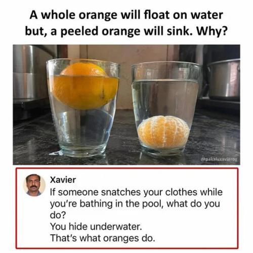 what-oranges-do