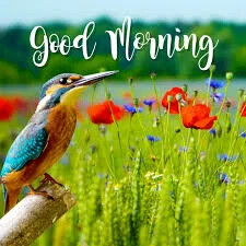 07:33:54 GMT-0500