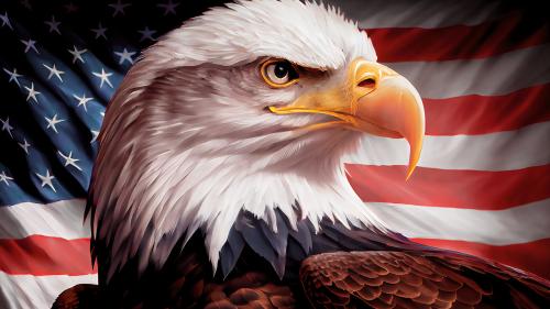 American-Eagle-with-Flag-54