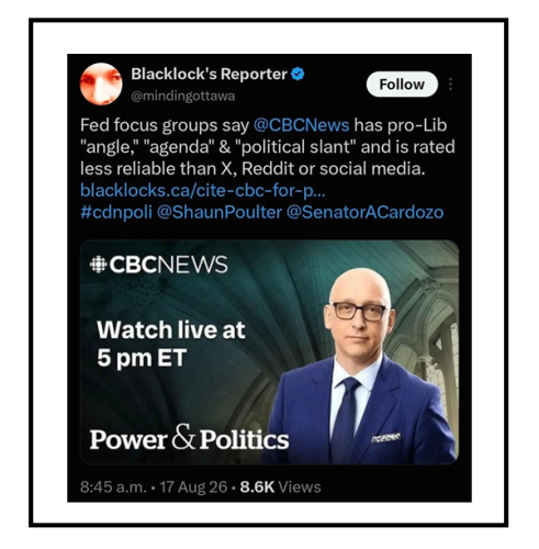 fed focus group