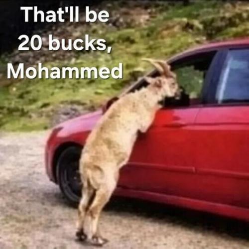 20-bucks