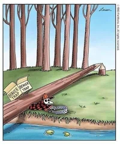 funny 640
