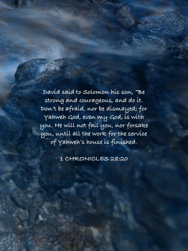 unnamed-428