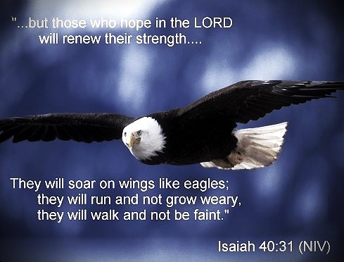 081426 - Eagle renewed - Isaiah 40-31
