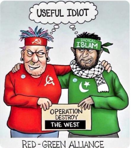 RED GREEN ALLIANCE WHO WINS