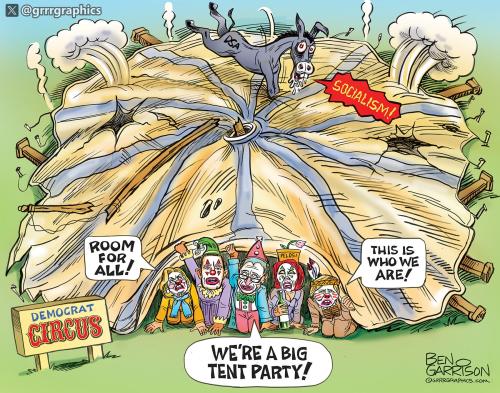democrats-big-tent-party2026
