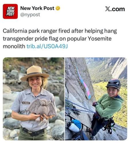 AAfired