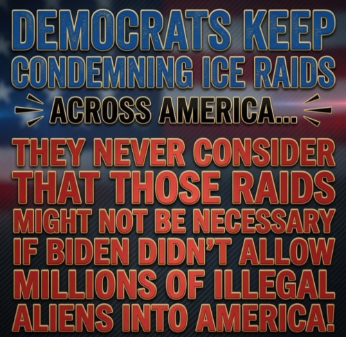 ice raids x