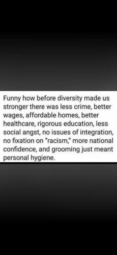 diversity