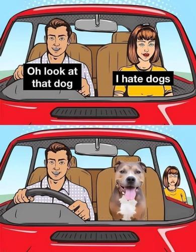 funny 651