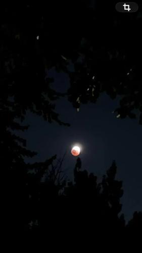 21:52:10 GMT-0500