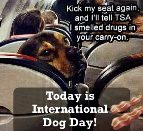 international-dog-day