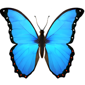 C71568C0-BF1F-4EFB-8612-CF3A1BD2D73C-96072-00004EECC7DF3096