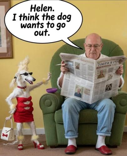 dog-wants-to-go-out