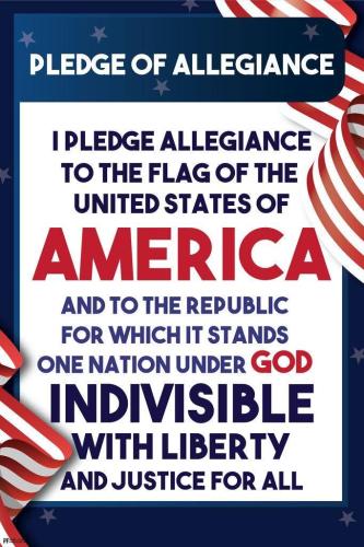 pledge 119