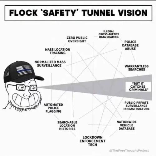 flock-tunnel-vision