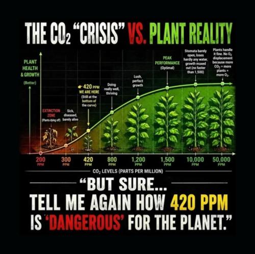 Carbon footprint vs reality.768px