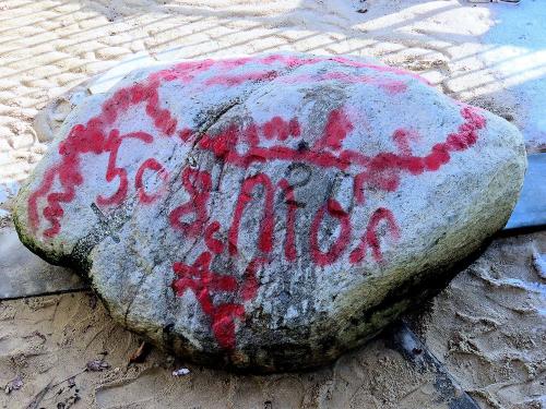 plymouth-rock-4-0fadb5a1e83f42528cd3d748af0feab2