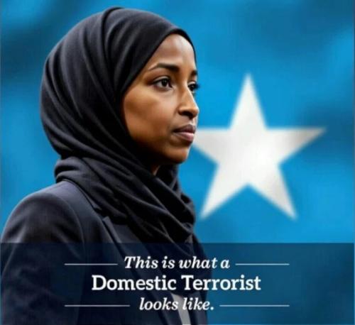 domestic-terrorist