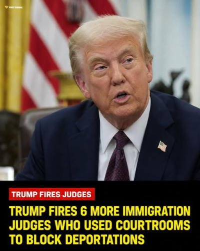 djt fires judges