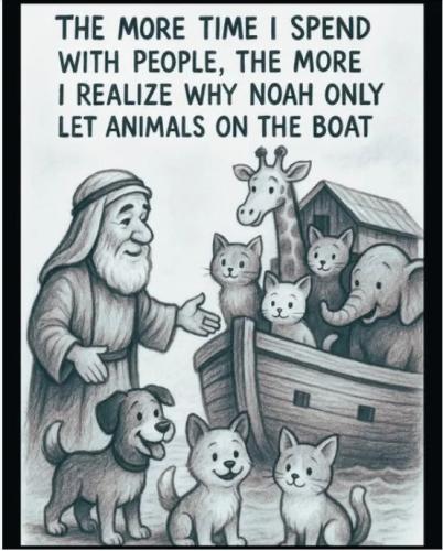 only-let-animals-on-ark