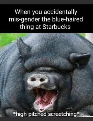 misgender-starbucks