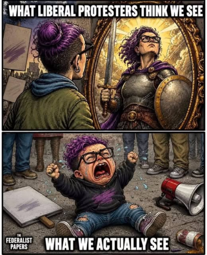 democrat protestors