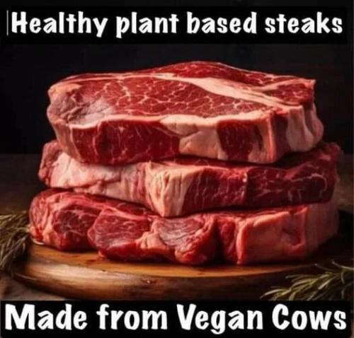 plant-based-steaks