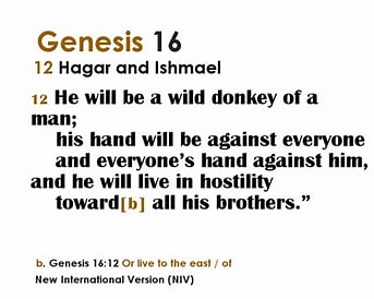 ismlam wild donkey