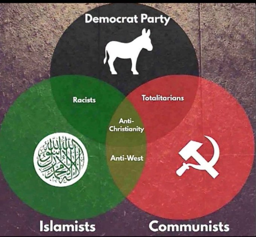 REDGREEN DONKEY