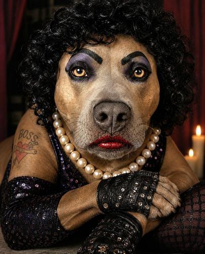 tim curry as frankenfurter