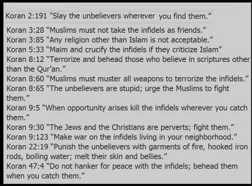 THE RELIGION OF PEACE SLAY