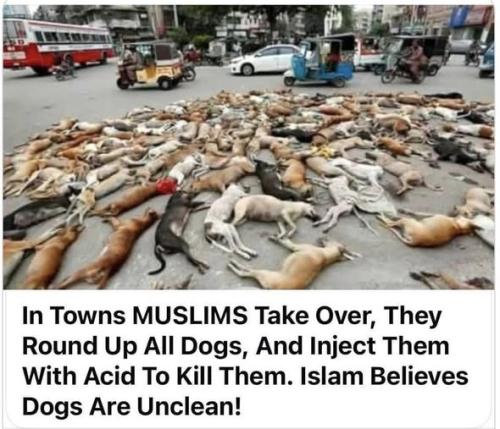 dogkillers