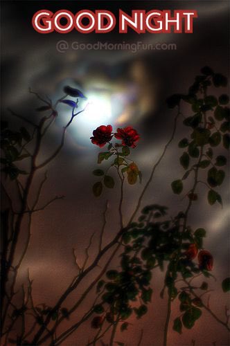 19:34:26 GMT-0700