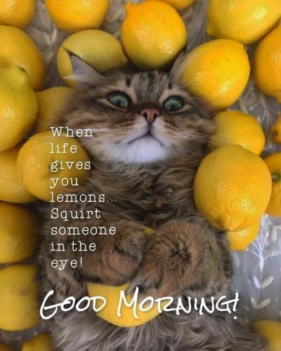 07:07:26 GMT-0500