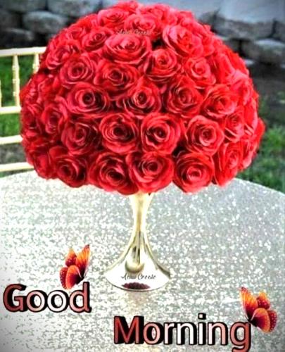081326 - GM Red Roses