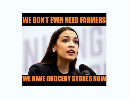 AOCstores