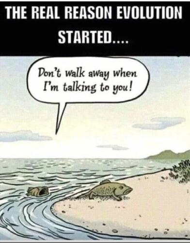 why-evolution-started