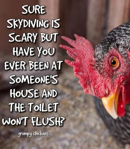 skydiving-scary