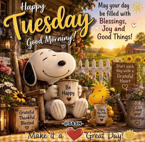 All week tuesday 6