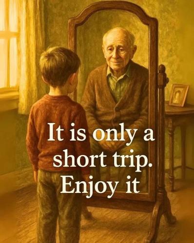 short-trip