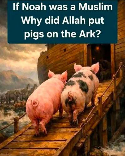 FB_IMG_1787789770540