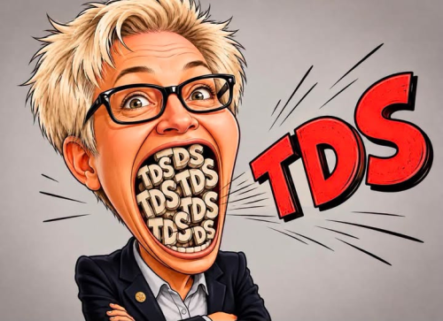 kotek tds
