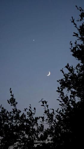 Night sky