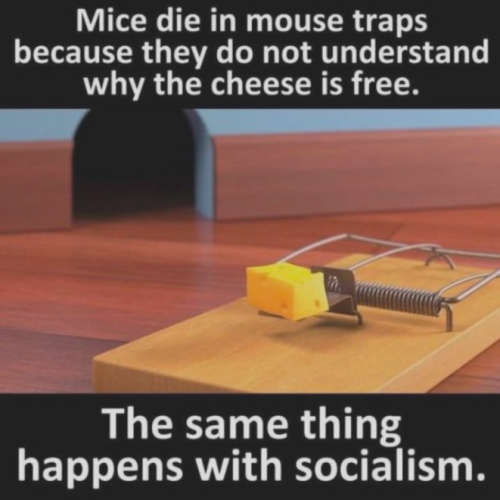 MICE DIE