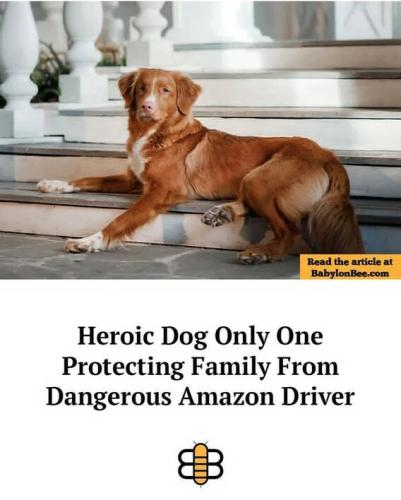 heroic-dog