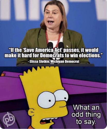 SAVE AMERICA ACT HOMER
